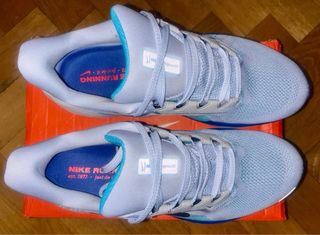 Nike Air Zoom Pegasus 41