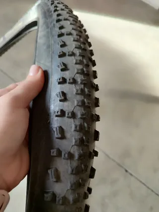 Cubiertas Schwalbe Rapid Rob MTB