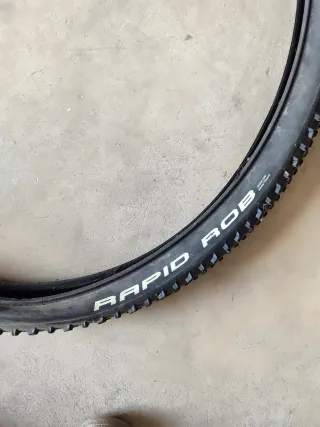 Cubiertas Schwalbe Rapid Rob MTB