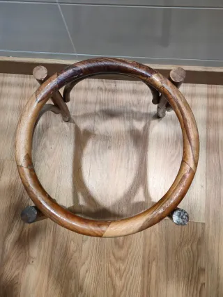 Planta de interior grande natural