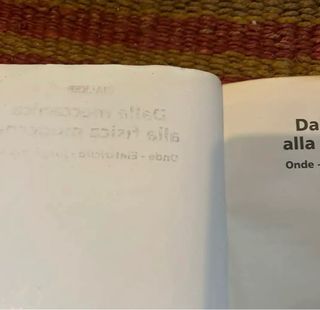 Dalla meccanica alla fisica moderna - Walker Vol 2