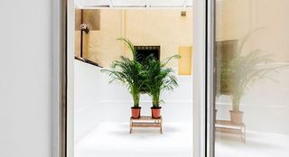 Piso en alquiler en Goya en Madrid