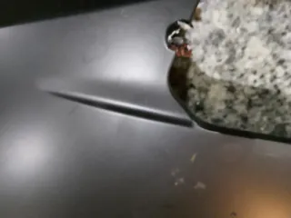 Carenado BMW S1000RR 2016