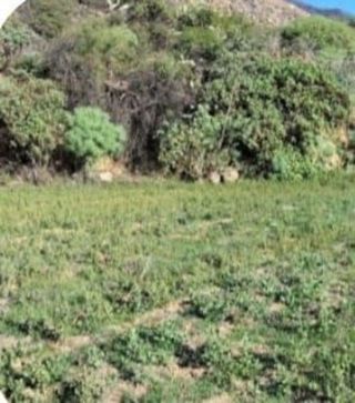 Terreno en venta en Arafo