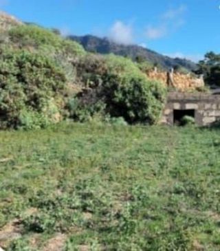Terreno en venta en Arafo