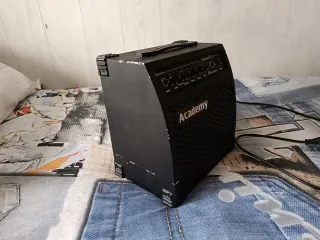 Amplificador Warrior Standard 15