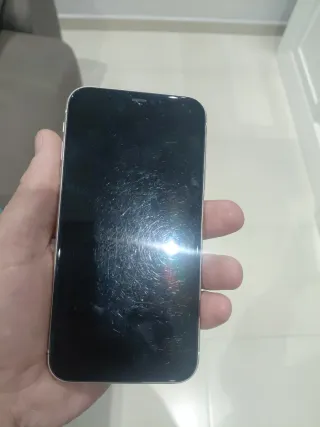 iPhone 11 Caja Blanca