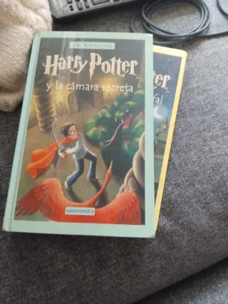 Harry Potter Y La Piedra Filosofal