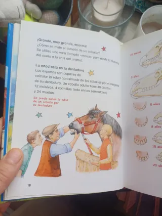 Todo sobre los caballos (Kika superbruja: Todo ...