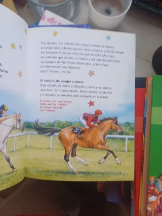 Todo sobre los caballos (Kika superbruja: Todo ...