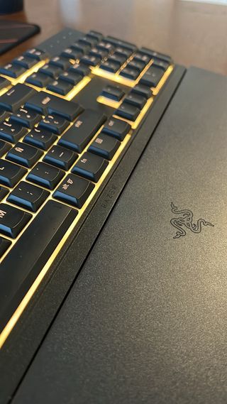 Teclado gaming RAZER Ornata V3 X