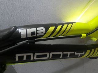 Bicicleta infantil Monty 103