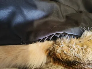 Abrigo Vintage Piel Zorro Auténtica Talla M