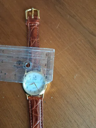 Reloj Viceroy Mujer Dorado y Marrón