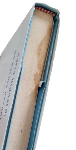 Libro “Un Karma Pesante”