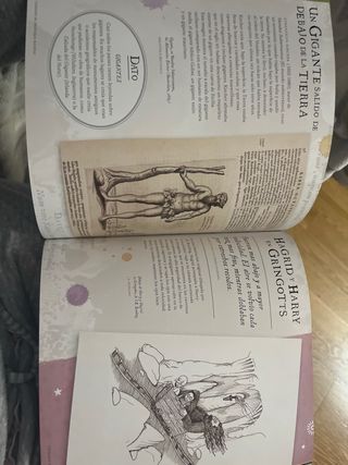 Harry Potter: Un viaje por la historia de la ma...