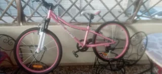 Bicicleta rosa niña