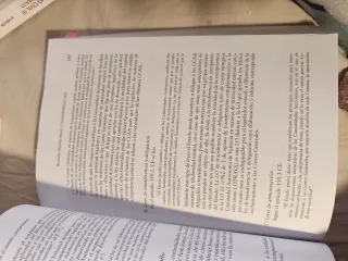 El Estado Constitucional (Manuales de Derecho C...