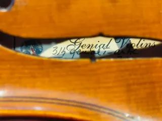 Violín 3/4 con funda y arco