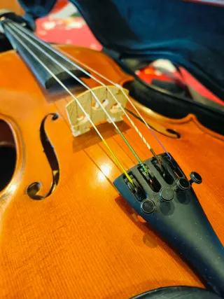 Violín 3/4 con funda y arco