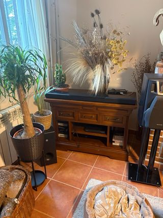 Conjunto muebles salón