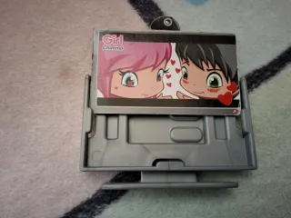 Casa de las Flores Pin y Pon.