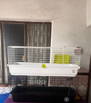 Jaulas para conejos y cobayas