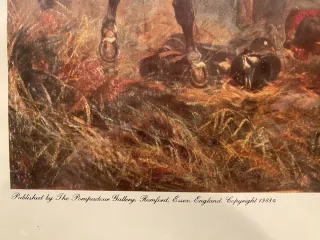 Quatre Bras, 1815 - Elisabeth Thompson