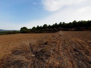 Terreno en venta en Móra d´Ebre
