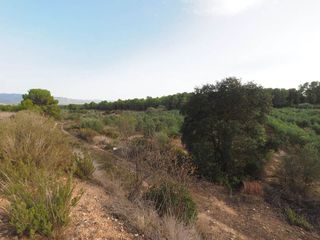 Terreno en venta en Móra d´Ebre