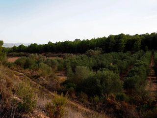 Terreno en venta en Móra d´Ebre