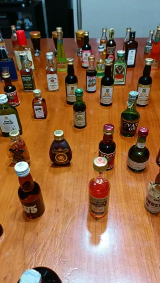 Collezione bottigliette liquore