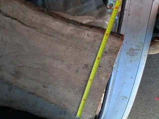 Legno grezzo di ulivo