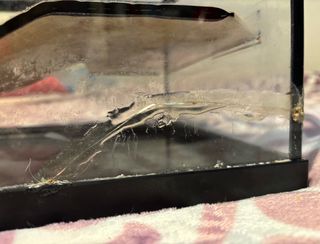 Acuario / Tortuguero 55x30x21 cm