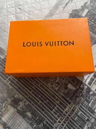 Zapato Louis Vuitton skate talla 45