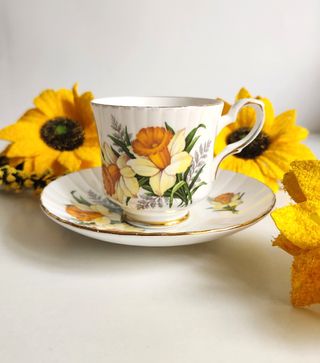 Taza y platillo de porcelana
