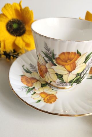 Taza y platillo de porcelana