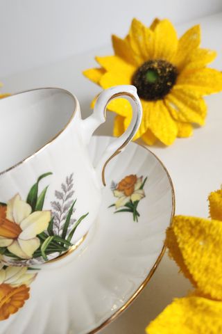 Taza y platillo de porcelana