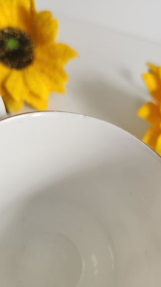 Taza y platillo de porcelana