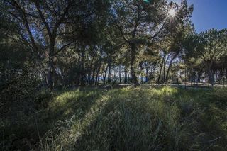 Terreno en venta en Sant Andreu de Llavaneres