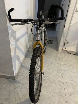 Bicicleta Aluminio America