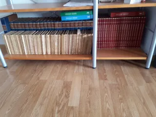 Lote libros antiguos para decoración