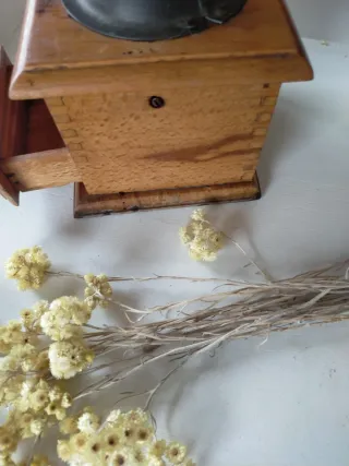 Molinillo café antiguo madera y metal Elma