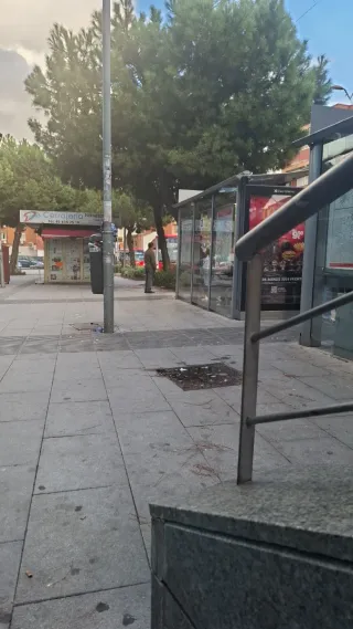 Niñera,profesora,paseadora de perros,limpieza.