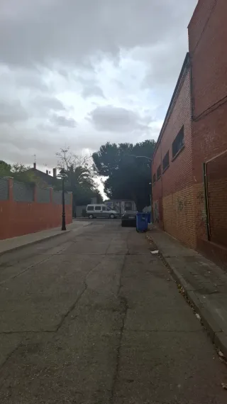 Niñera,profesora,paseadora de perros,limpieza.