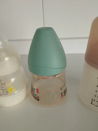 Lote de biberones variados