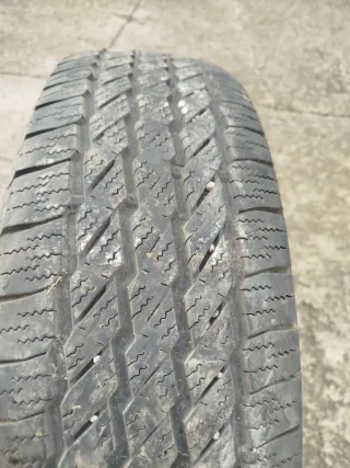 Michelin Latitude Cross 225/70 R17