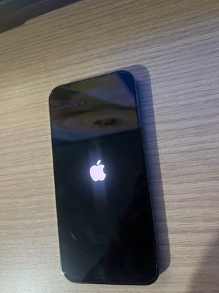 iPhone 13 Pro Max Azul