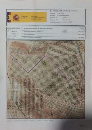 Terreno en venta en Sanlúcar la Mayor