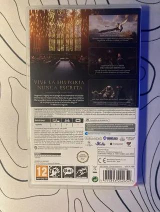 Hogwarts Legacy Nintendo Switch